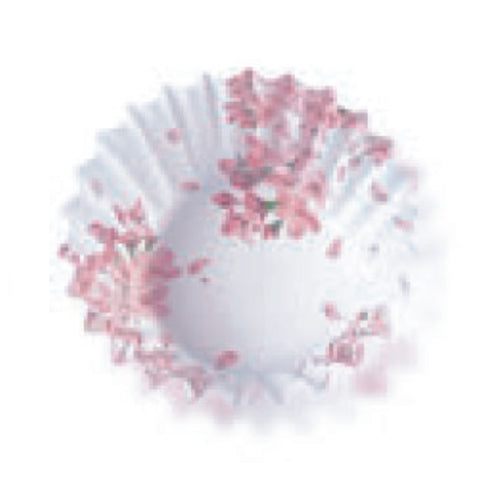 Display Cup
